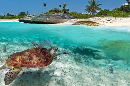 032961a5 fdf8 4e5c 90b8 f19f5642d6fb