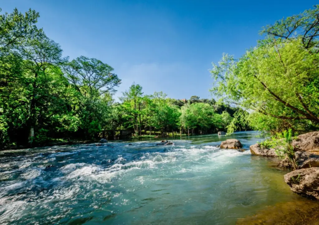 0fc813eb a795 4a19 a873 dc8872782e08