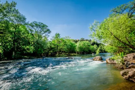 0fc813eb a795 4a19 a873 dc8872782e08