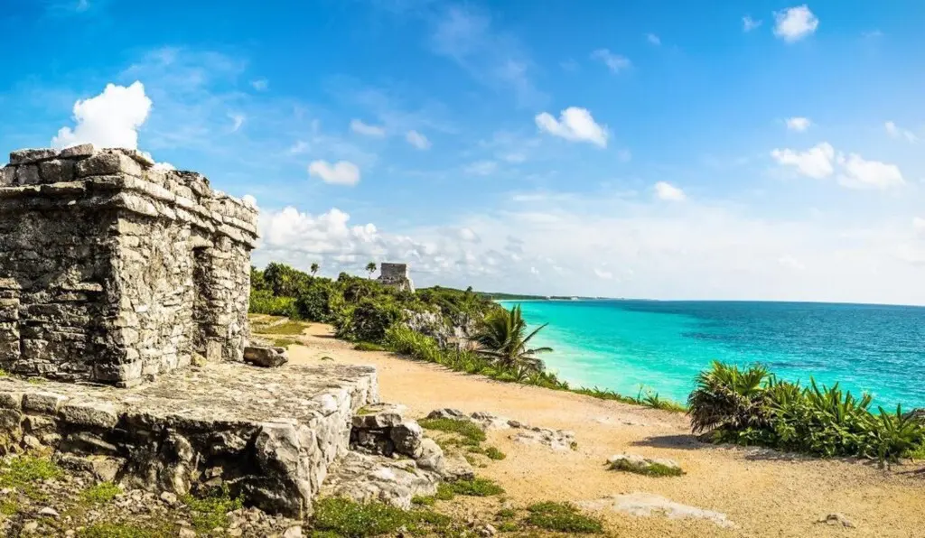 1e8105b7 8d27 4f8c 97eb 1657c5bd7368