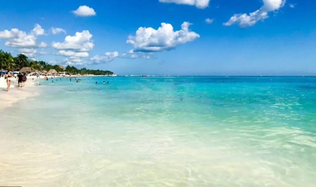 4f454dae ce1c 4715 b092 5dde0477cac5